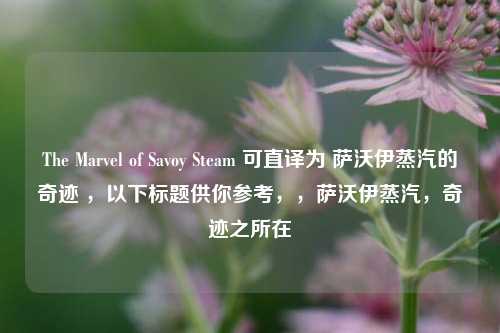 The Marvel of Savoy Steam 可直译为 萨沃伊蒸汽的奇迹 ,以下标题供你参考,,萨沃伊蒸汽,奇迹之所在