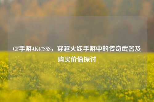 CF手游AK47SSS，穿越火线手游中的传奇武器及购买价值探讨