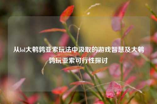 从lol大鹌鹑亚索玩法中汲取的游戏智慧及大鹌鹑玩亚索可行性探讨