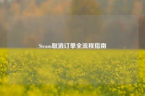 Steam取消订单全流程指南