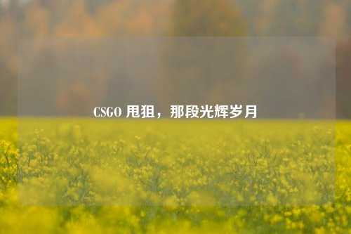 CSGO 甩狙,那段光辉岁月