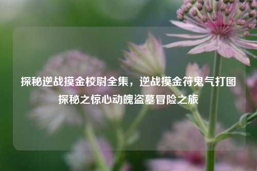 探秘逆战摸金校尉全集,逆战摸金符鬼气打图探秘之惊心动魄盗墓冒险之旅