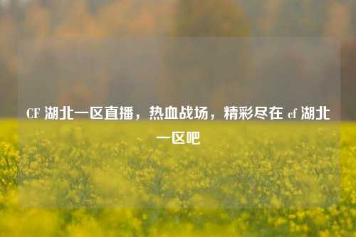 CF 湖北一区直播，热血战场，精彩尽在 cf 湖北一区吧
