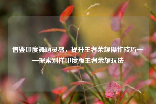 借鉴印度舞蹈灵感，提升王者荣耀操作技巧——探索别样印度版王者荣耀玩法