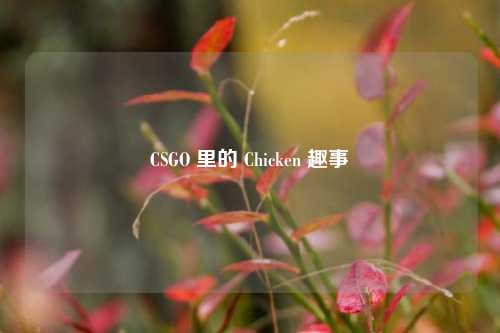CSGO 里的 Chicken 趣事