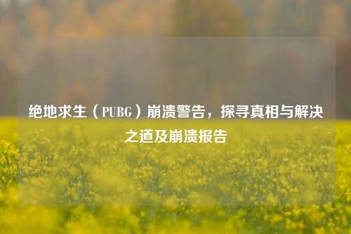 绝地求生(PUBG)崩溃警告,探寻真相与解决之道及崩溃报告