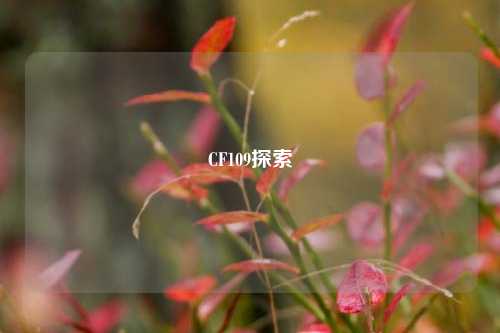 CF109探索