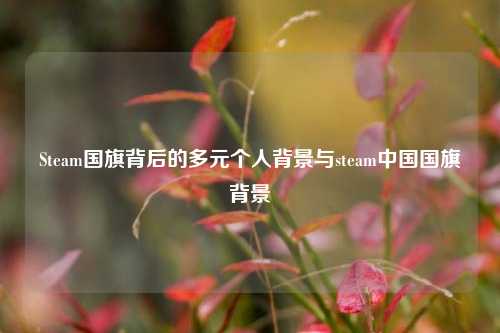 Steam国旗背后的多元个人背景与steam中国国旗背景