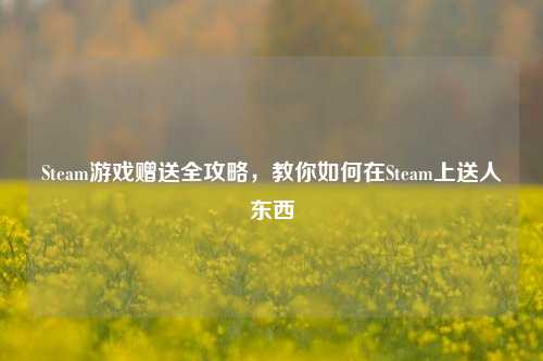 Steam游戏赠送全攻略,教你如何在Steam上送人东西