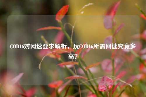 COD16对网速要求解析，玩COD16所需网速究竟多高？