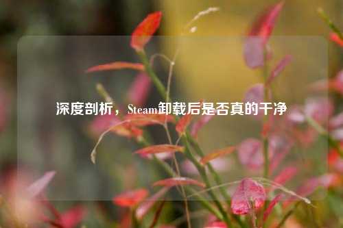 深度剖析，Steam卸载后是否真的干净