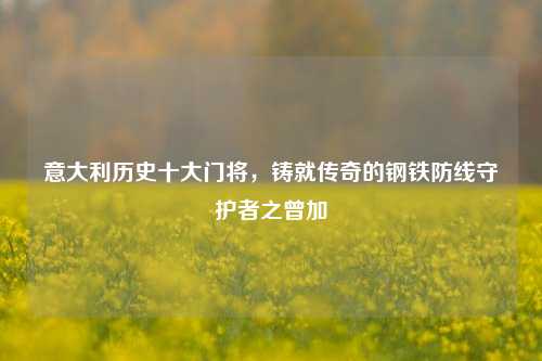 意大利历史十大门将，铸就传奇的钢铁防线守护者之曾加