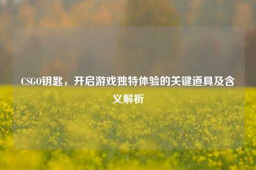 CSGO钥匙，开启游戏独特体验的关键道具及含义解析
