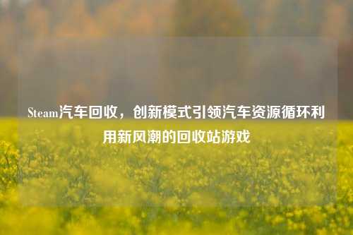 Steam汽车回收,创新模式引领汽车资源循环利用新风潮的回收站游戏