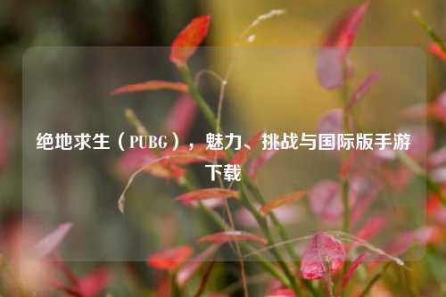 绝地求生（PUBG），魅力、挑战与国际版手游下载