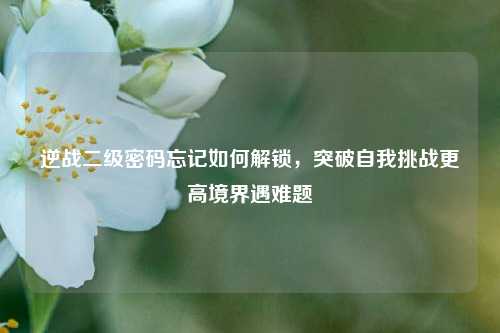 逆战二级密码忘记如何解锁,突破自我挑战更高境界遇难题