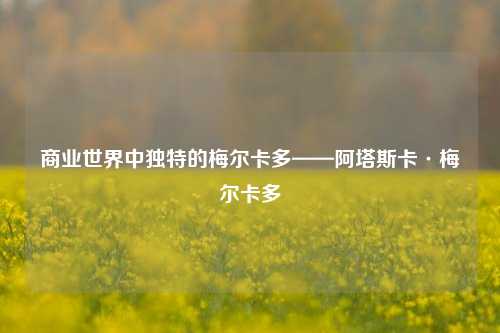 商业世界中独特的梅尔卡多——阿塔斯卡·梅尔卡多