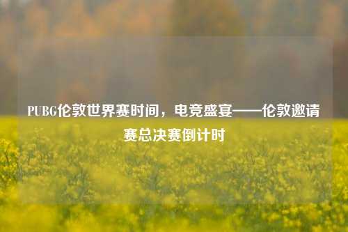 PUBG伦敦世界赛时间，电竞盛宴——伦敦邀请赛总决赛倒计时