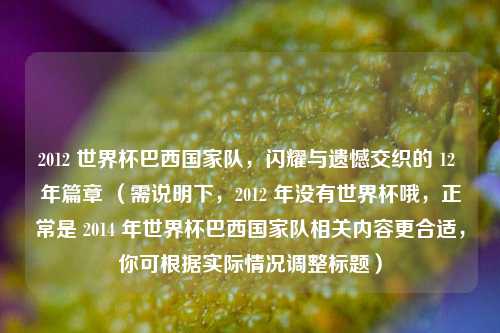 2012 世界杯巴西国家队,闪耀与遗憾交织的 12 年篇章 (需说明下,2012 年没有世界杯哦,正常是 2014 年世界杯巴西国家队相关内容更合适,你可根据实际情况调整标题)