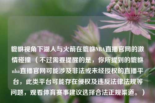 貔貅视角下湖人与火箭在貔貅NBA直播官网的激情碰撞 （不过需要提醒的是，你所提到的貔貅nba直播官网可能涉及非法或未经授权的直播平台，此类平台可能存在侵权及违反法律法规等问题，观看体育赛事建议选择合法正规渠道。）