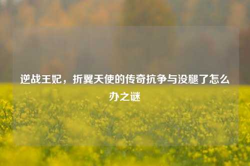 逆战王妃,折翼天使的传奇抗争与没腿了怎么办之谜