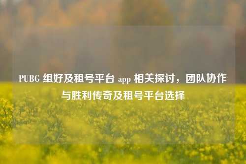 PUBG 组好及租号平台 app 相关探讨，团队协作与胜利传奇及租号平台选择