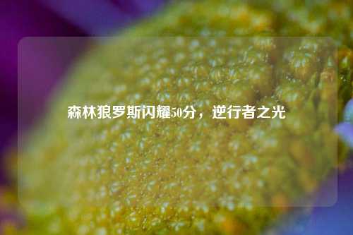 森林狼罗斯闪耀50分，逆行者之光