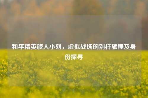 和平精英旅人小刘,虚拟战场的别样旅程及身份探寻