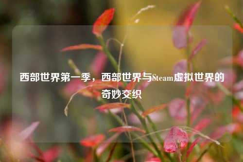 西部世界第一季，西部世界与Steam虚拟世界的奇妙交织