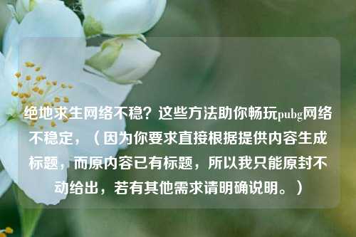 绝地求生网络不稳？这些方法助你畅玩pubg网络不稳定，（因为你要求直接根据提供内容生成标题，而原内容已有标题，所以我只能原封不动给出，若有其他需求请明确说明。）