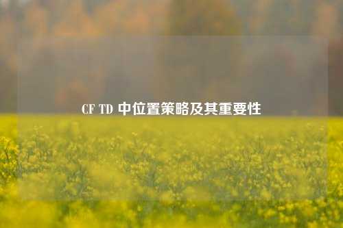 CF TD 中位置策略及其重要性