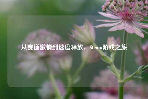 从赛道激情到速度释放，Steam游戏之旅