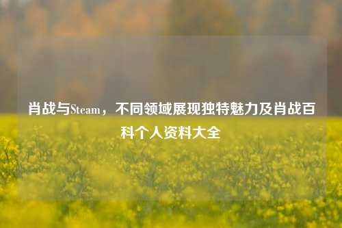 肖战与Steam,不同领域展现独特魅力及肖战百科个人资料大全