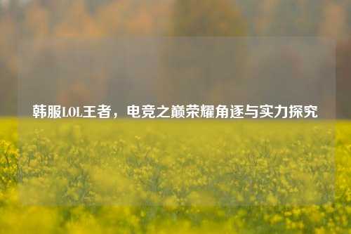 韩服LOL王者,电竞之巅荣耀角逐与实力探究