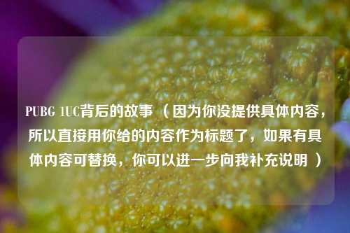 PUBG 1UC背后的故事 （因为你没提供具体内容，所以直接用你给的内容作为标题了，如果有具体内容可替换，你可以进一步向我补充说明 ）