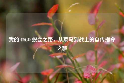 我的 CSGO 蜕变之路，从菜鸟到战士的自传指令之旅
