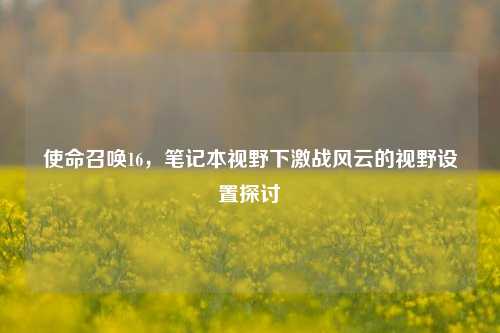 使命召唤16，笔记本视野下激战风云的视野设置探讨