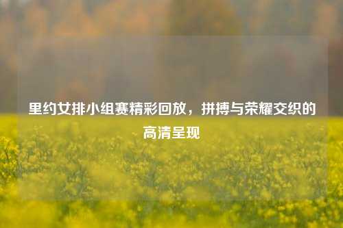里约女排小组赛精彩回放，拼搏与荣耀交织的高清呈现