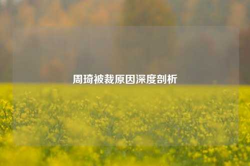 周琦被裁原因深度剖析