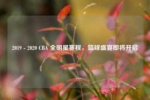 2019 - 2020 CBA 全明星赛程,篮球盛宴即将开启