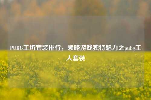 PUBG工坊套装排行,领略游戏独特魅力之pubg工人套装
