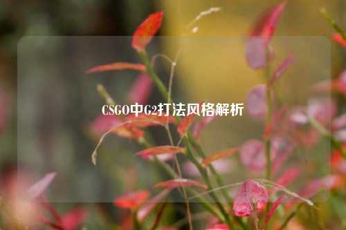 CSGO中G2打法风格解析