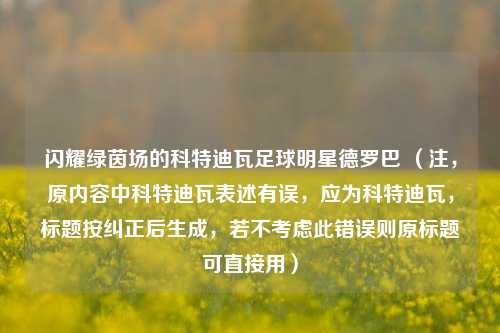 闪耀绿茵场的科特迪瓦足球明星德罗巴 (注,原内容中科特迪瓦表述有误,应为科特迪瓦,标题按纠正后生成,若不考虑此错误则原标题可直接用)