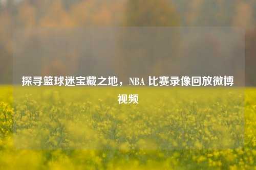 探寻篮球迷宝藏之地,NBA 比赛录像回放微博视频