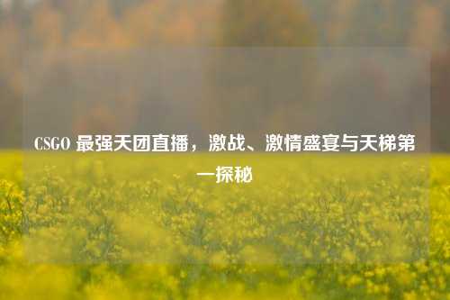 CSGO 最强天团直播,激战、激情盛宴与天梯第一探秘