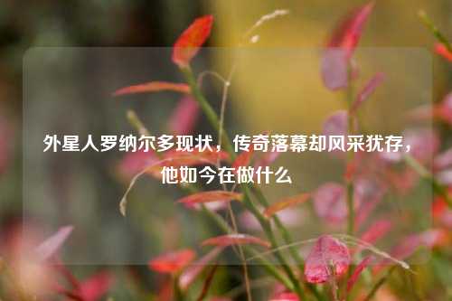 外星人罗纳尔多现状,传奇落幕却风采犹存,他如今在做什么