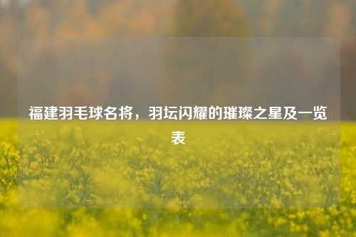 福建羽毛球名将,羽坛闪耀的璀璨之星及一览表