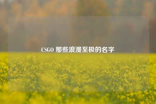 CSGO 那些浪漫至极的名字