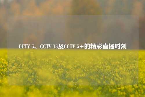CCTV 5、CCTV 15及CCTV 5+的精彩直播时刻