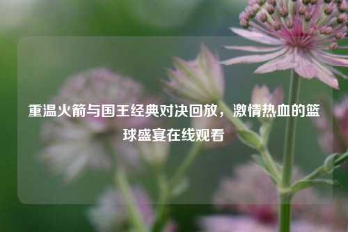 重温火箭与国王经典对决回放,激情热血的篮球盛宴在线观看